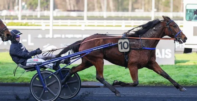 photo  entraînée par antoine marion, nymphe d’elle court sous la casaque du footballeur baptiste santamaria.  &copy;  entourage de nymphe d’elle 