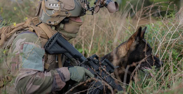 photo  des militaires du génie participent à des exercices de soutien en pologne, qui partage des frontières communes avec l’ukraine et la russie.  &copy;  brigade du génie 