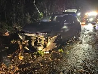 photo  la trentenaire n’a pas pu éviter l’arbre.  &copy;  gendarmerie deux-sèvres 