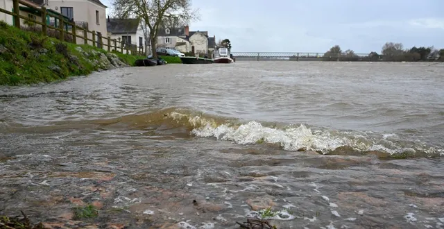 photo  rochefort-sur-loire, le 12 février 2026. le fleuve ne cesse de gonfler et les riverains des lombardières comme leurs voisins d’en face, à béhuard, se préparent à voir l’eau déborder dans les rues et les propriétés.  &copy;   co - josselin clair 