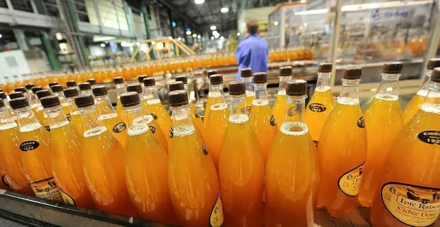 photo  les ventes de cidre sont restées stables en 2025.  &copy;  archives joël le gall 