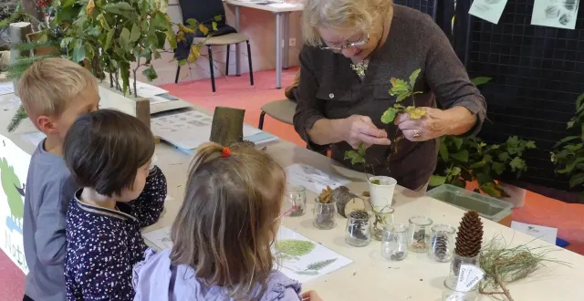 photo  c’est la deuxième fois que le forum nature s’installe à vibraye.  &copy;  archives le maine libre 