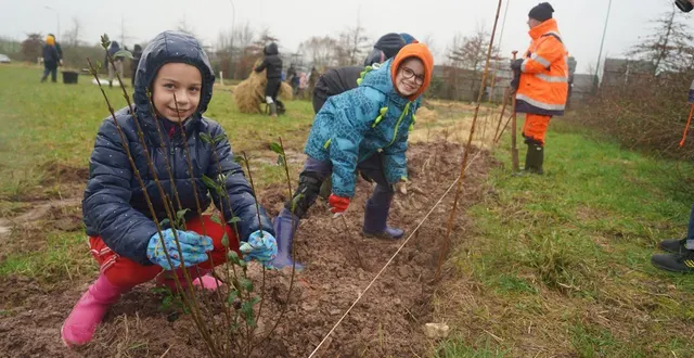 photo  des élèves de l’école saint-germain-des-prés ont participé, mardi, à une opération de plantation de haie dans leur commune afin de les sensibiliser à la préservation de la biodiversité.  &copy;  ouest-france 