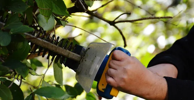 photo  trois propriétaires de boivre-la-vallée (vienne) ont déposé plainte à l’encontre d’un agriculteur qu’ils accusent d’avoir détruit leurs haies. photo d’illustration.  &copy;  alexas_fotos / pixabay 