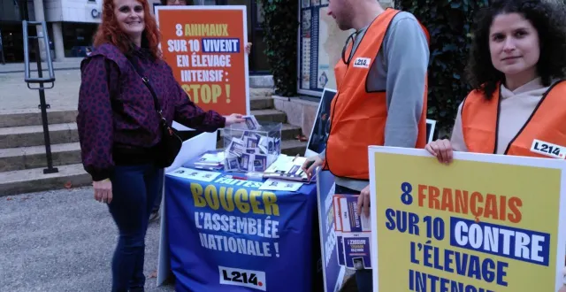 photo  samedi 14 février 2026, l’association l214 tiendra un stand dans le centre-ville du mans (sarthe).  &copy;  archives ouest-france 