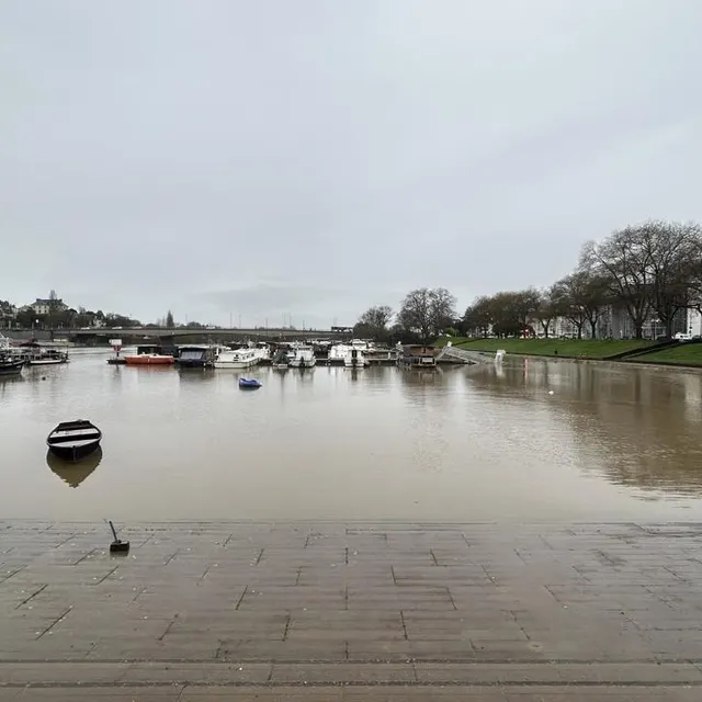 À Angers, la Maine a atteint le quai de la cale de la Savatte. CO photo à angers, la maine a atteint le quai de la cale de la savatte. © co