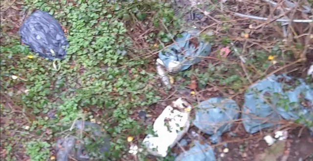 photo  plusieurs sacs déposes sur l’ancienne voie ferrée  &copy;  ouest-france 