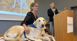 Info insolite à niort, vendredi 13 février 2026. le labrador joumi était au centre des attentions au grand feu, à l’occasion de la cérémonie de départ à la retraite organisé en son honneur.