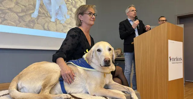 photo  à niort, vendredi 13 février 2026. le labrador joumi était au centre des attentions au grand feu, à l’occasion de la cérémonie de départ à la retraite organisé en son honneur.  &copy;  co - gabin chamereau 