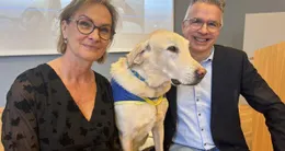 Info insolite joumi va profiter d’une retraite bien méritée chez ses deux référents du grand feu, estelle thibaud-louis et laurent féron, à l’origine de son intégration dans le centre de rééducation.