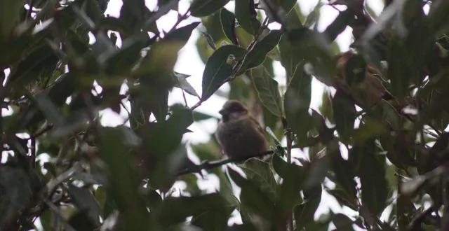 photo  ballon-saint-mars fait partie des huit communes sarthoises à bénéficier d’un atlas de la biodiversité.  &copy;  ouest-france 