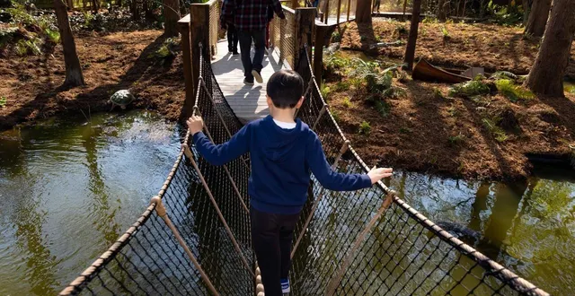 photo  l’aventure au bayou a fait son apparition en 2025. cette année, ce sont lestractocabines de cléamolette qui font leur apparition.  &copy;  photo : co - régine lemarchand 