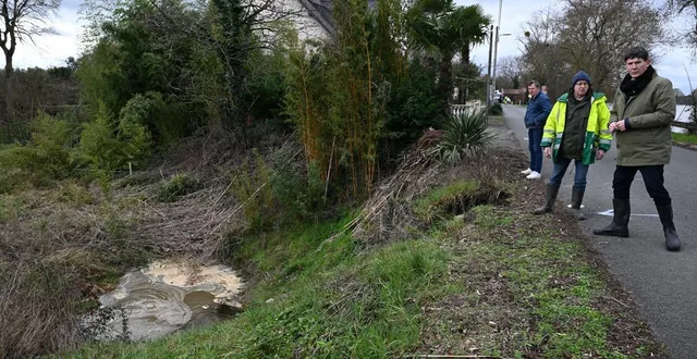 photo  les ponts-de-cé, samedi 14 février 2026. le maire de la commune et les services techniques ont constaté qu’une partie de la chaussée avait commencé à s’effondrer, fragilisée par l’eau du fleuve qui ravine en dessous.  &copy;  josselin clair 