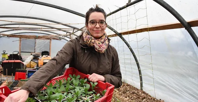 photo  charlotte robert s’est lancée dans la culture de fleurs afin de proposer des fleurs françaises et sans pesticides. pour l’heure, elle travaille avec des barquettes plastiques, toutes issues de la récup’, mais a pour but de s’en passer au profit de mottes.  &copy;  co - justine brichard 
