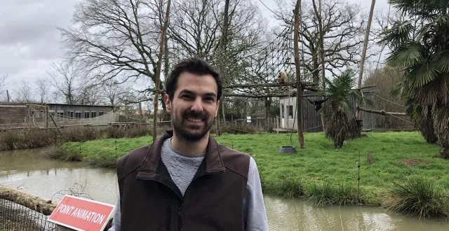 photo  maxime thué a passé deux mois, en 2023, auprès de gibbons aux mains blanches dans la jungle indonésienne. aujourd’hui vétérinaire et responsable animalier à spaycific’zoo (sarthe), il s’occupe d’un couple et leur bébé de la même espèce.  &copy;  ouest-france 