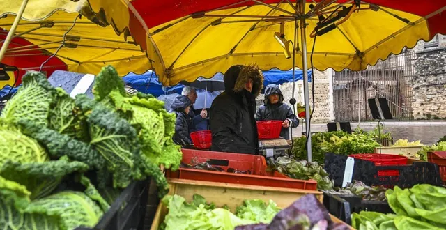 photo  sur les étals, les légumes d’hiver peinent à trouver preneurs. avec la douceur du climat, on a moins envie de soupe.  &copy;  le maine libre denis lambert 