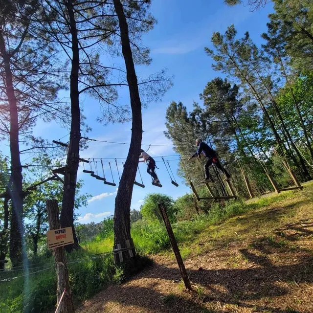 Le Parc Aventures 49, à Brion, propose notamment de l’accrobranche, et accepte les chiens dans son domaine. Parcours Aventures 49 photo le parc aventures 49, à brion, propose notamment de l’accrobranche, et accepte les chiens dans son domaine. © parcours aventures 49