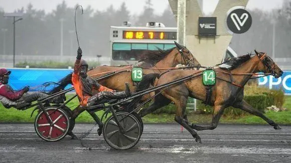 photo  nocive du choquel domine normandie niemen et brille chez les chevaux de 3 ans.  &copy;  le trot 