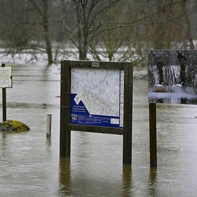 photo l’eau est bien présente au plan d’eau de denée en direction des ponts-de-cé.  ©  vincent michel / ouest-france