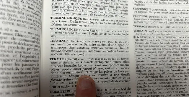 photo  on ne dit pas une termite mais un termite. saurez-vous reconnaître le genre des dix mots « piégeux » de notre quiz ?  &copy;  le maine libre 