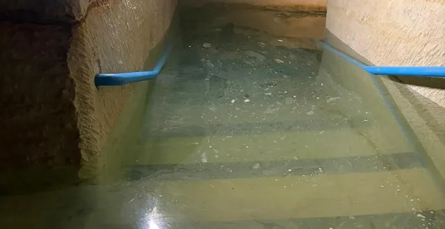 photo  le musée pierre et lumière a été contraint de fermer.  &copy;  musée du champignon - pierre et lumière - jardins du puygirault 