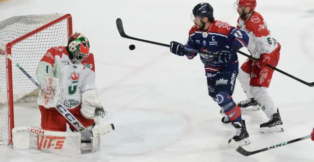 photo  les fans des ducs d’angers ne pourraient à voir qu’un match cette semaine à l’iceparc.  &copy;  co 
