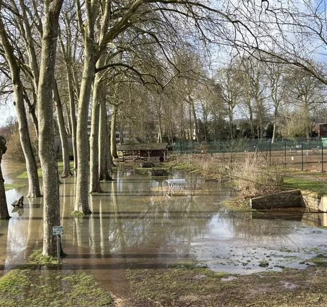 photo le loir a pris ses aises au parc des carmes à la flèche (sarthe)  ©  ouest-france