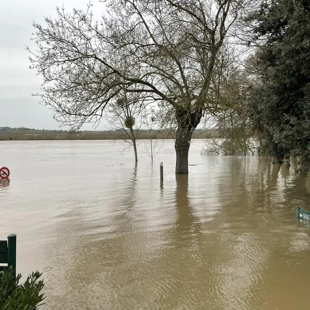 À Ancenis, la Loire a quitté son lit et a envahi les points bas de la ville, comme une partie du camping ainsi que le stade de la Davrays. Ouest-France photo à ancenis, la loire a quitté son lit et a envahi les points bas de la ville, comme une partie du camping ainsi que le stade de la davrays. © ouest-france