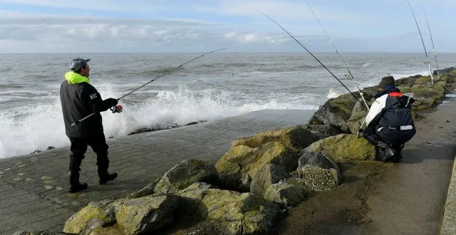 photo  la pêche récréative du maquereau va être davantage règlementée dans les prochains jours.  &copy;  ouest-france 
