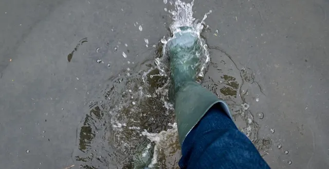 photo  le mans, dimanche 15 février 2026. huit millimètres supplémentaires de pluie sont tombés au mans, après un vendredi 13 février bien arrosé.  &copy;  photo le maine libre - yvon loué 