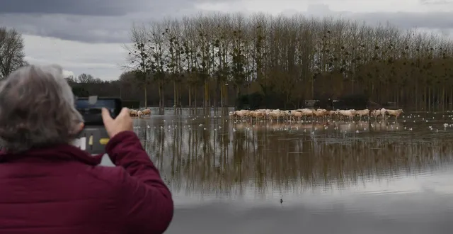 photo  les promeneurs sont nombreux sur les bords de la loire et de la maine pour immortaliser la crue.  &copy;  photo archives courrier de l’ouest - laurent combet 