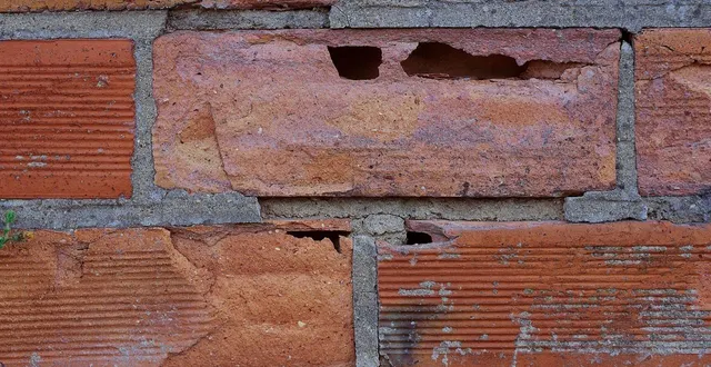 photo  pour retrouver une adolescente victime d’abus sexuels dont des photos étaient diffusées sur le dark web, un enquêteur américain a observé tous les détails qui l’entouraient, dont un pan de mur en briques. photo d’illustration  &copy;  textura 