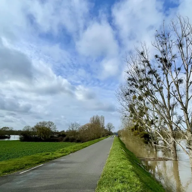 photo montjean-sur-loire - mauges-sur-loire, le 17 février 2026. en février 2021, la levée avait commencé à fuir autour de 4,80 mètres au niveau du lieu-dit des petits-champs. ce mardi, le fleuve affichait dans l’après-midi une hauteur de 5,33 m.  ©  co - lucas rojouan