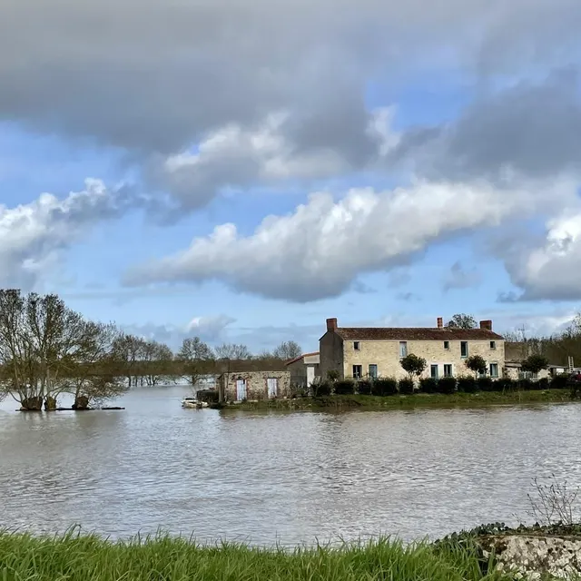 photo montjean-sur-loire -mauges-sur-loire, le 17 février 2026. en février 2021, la digue avait commencé à fuir autour de 4,80 mètres, à cause d’une crue, au niveau du lieu-dit des petits-champs, avant que des travaux ne soient lancés.  ©  co - lucas rojouan