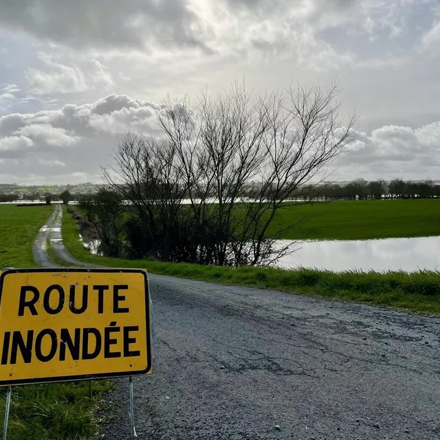 photo montjean-sur-loire - mauges-sur-loire, le 17 février 2026. en février 2021, la digue avait commencé à fuir autour de 4,80 mètres, à cause d’une crue, au niveau du lieu-dit des petits-champs, avant que des travaux ne soient lancés.  ©  co - lucas rojouan