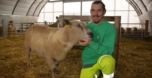 photo  manuel drouin présente le bélier ultra, sélectionné pour participer au concours agricole du salon de l’agriculture.  &copy;  ville d’argentan 