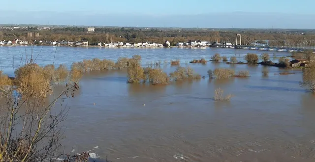 photo  de l’eau à perte de vue. ce mardi 17 février 2026, la loire monte même plus haut que les arbres au niveau de saint-florent-le-vieil.  &copy;  ouest-france 