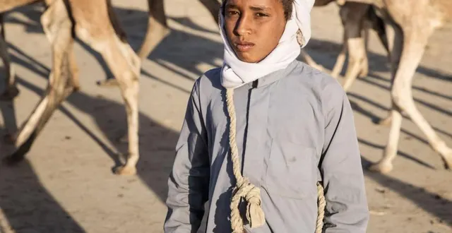 photo  un enfant d’une communauté de nomades au tchad suivie par le ccfd terre solidaire.  &copy;  ouest-france 