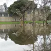 photo le parc de la guyonnière sous les eaux, hier après midi.