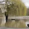 photo  le pont a les pieds dans l’eau et la circulation des voies sur berges réservées aux piétons et deux-roues non motorisés est impossible, la montée des eaux ayant submergé les rives. les bateaux ne sont plus accessibles via le ponton, lui aussi englouti par la sarthe. hier, à cet endroit, aucune restriction de stationnement par des barrières n’était pour le moment en place. 