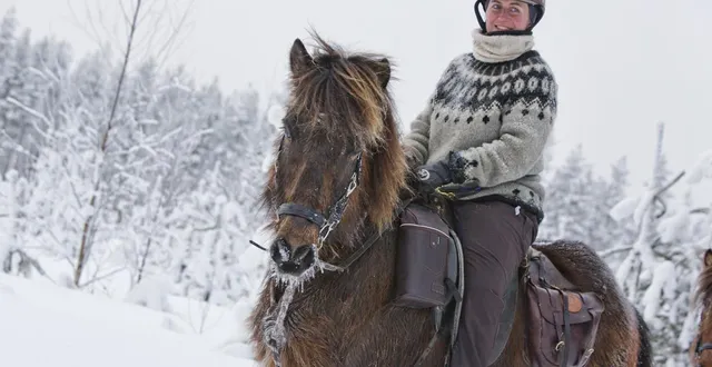 photo  floriane colonnier, montant leó, un des 11 chevaux islandais de la ferme équestre « horses of taïga », qu’elle gère avec sa compagne rianne kindt dans le nord de la suède, à svansele, hameau de 62 habitants.  &copy;  rianne kindt 
