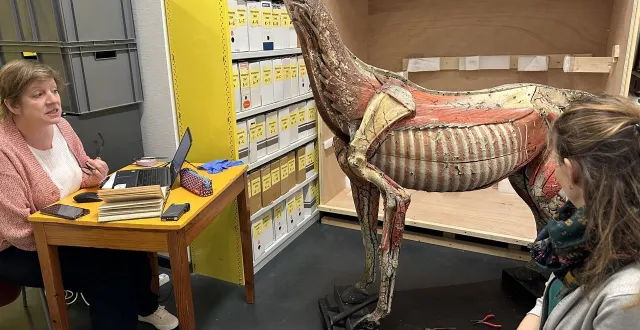 photo  toutes deux restauratrices d’art à l’atelier marchal-poncelet, caroline marchal et ségolène walle ont pour mission de remettre en état le modèle anatomique de cheval du docteur louis auzoux datant de 1851 pour le compte de l’institut agro rennes-angers (ille-et-vilaine).  &copy;  fourni par l’institut agro rennes-angers 