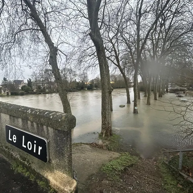 photo les arbres le long du loir ont les pieds dans l’eau à la flèche, ce mercredi 18 février 2026.  ©  ouest-france