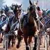 photo le grand national du trot, dit le tour de france des trotteurs.