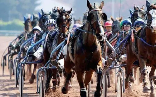 photo  le grand national du trot, dit le tour de france des trotteurs.  &copy;  dr 