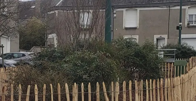 photo  les massifs sont protégés par les ganivelles en bois.  &copy;  ouest-france 