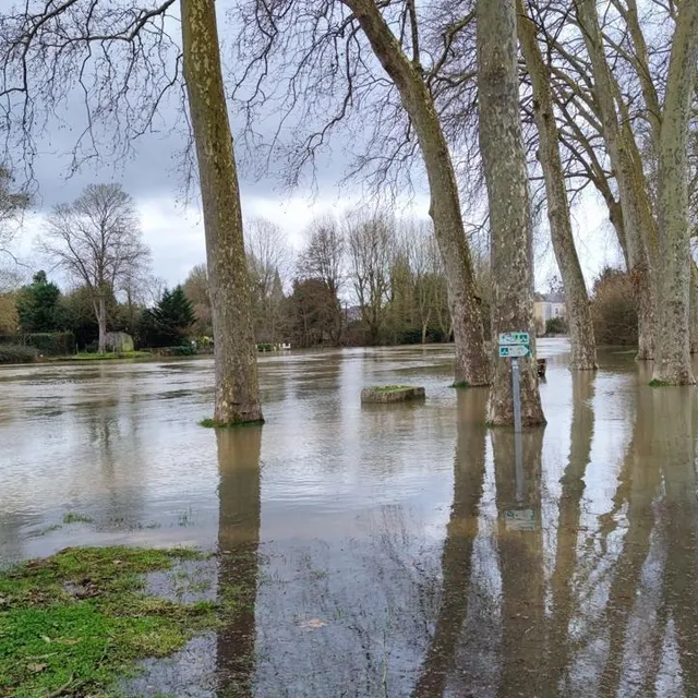 À La Flèche, le parc des Carmes est aussi inondé. Ouest-France photo à la flèche, le parc des carmes est aussi inondé. © ouest-france