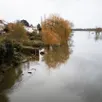 photo  les eaux en crue de la rivière achenau inondent des jardins et des habitations près de nantes en loire-atlantique, le 27 janvier 2026 