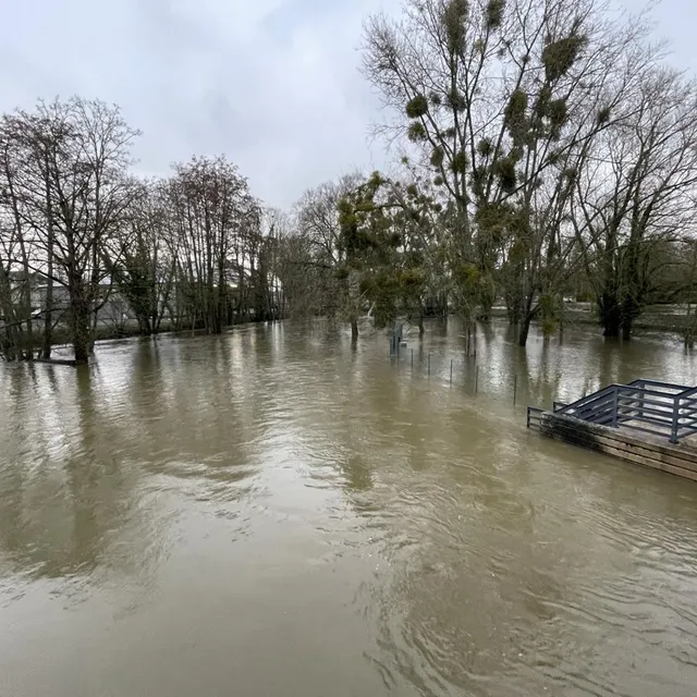Sur l’île Saint-Louis, le parc à chiens (à droite) est sous les eaux de l’Orne. Ouest-France photo sur l’île saint-louis, le parc à chiens (à droite) est sous les eaux de l’orne. © ouest-france