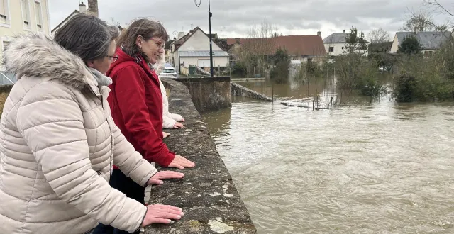 photo  dans le faubourg de la croix verte, entre beaumont-sur-sarthe et maresché, le niveau de la sarthe est observé par les habitants.  &copy;  ouest-france 